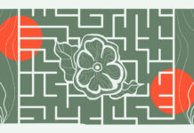 Press Release – Chacruna Stands in Solidarity with Ayahuasca Groups in Spain Ayahuasca rights in Spain and broader Europe