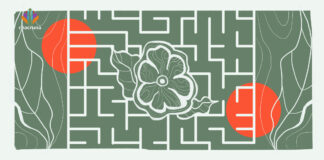 Press Release – Chacruna Stands in Solidarity with Ayahuasca Groups in Spain Ayahuasca rights in Spain and broader Europe