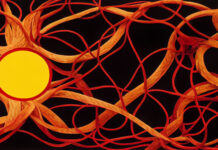 A Call for Public Support Against the Current Demonization of Ayahuasca Practices in Spain A Call for Public Support Against the Current Demonization of Ayahuasca Practices in Spain