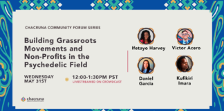 Building Grassroots Movements and Non-Profits in the Psychedelic Field