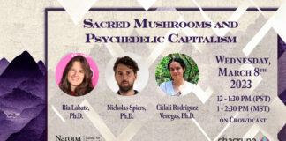 Sacred Mushrooms and Psychedelic Capitalism