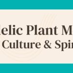 Psychedelic Plant Medicines Science Culture _ Spirituality