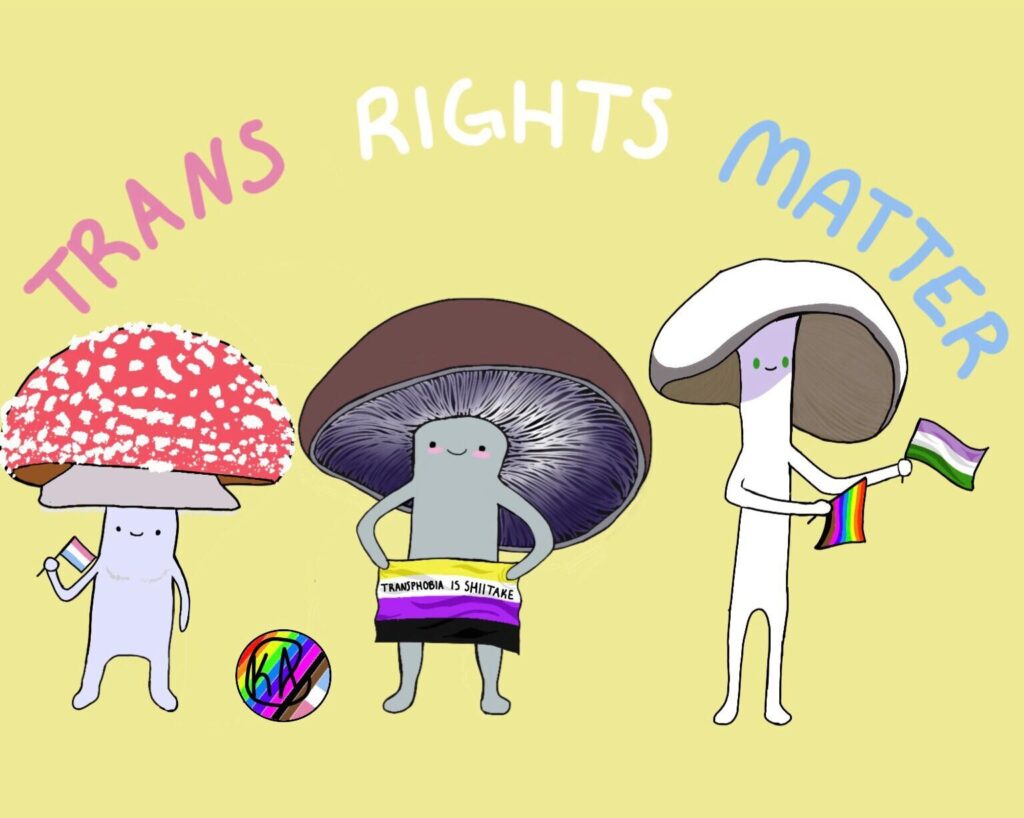 Image of three cartoon mushrooms holding queer flags with the words "trans rights matter"