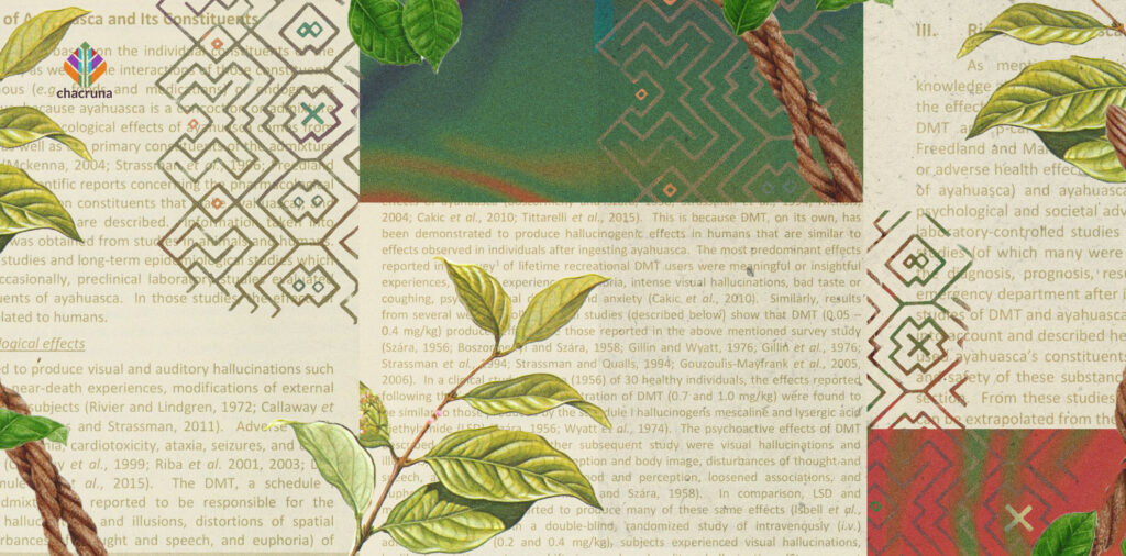ayahuasca risk assessment