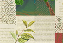 FOIA brings to light DEA’s Problematic Report, “Ayahuasca: Risks to Public Health and Safety” ayahuasca risk assessment