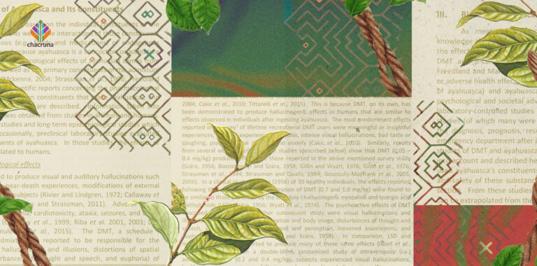 ayahuasca risk assessment