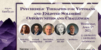 Psychedelic Therapies for Veterans and Enlisted Soldiers: Opportunities and Challenges