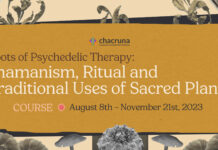 Roots of Psychedelic Therapy: Shamanism, Ritual and Traditional Uses of Sacred Plants