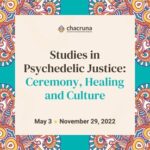 studies in psychedelic justice