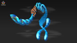 What does an analysis of ayahuasca DNA tell us?