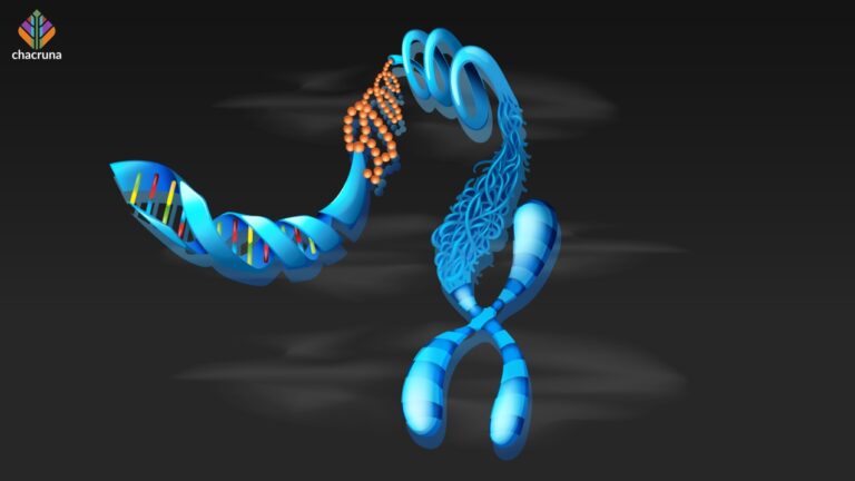 What does an analysis of ayahuasca DNA tell us?