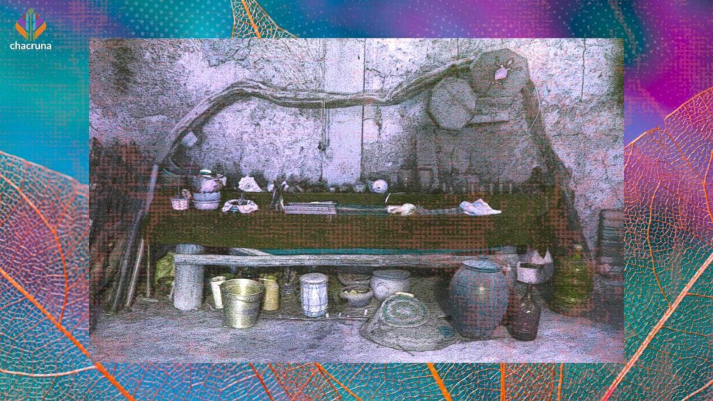 Guarani Shamanism in the University
