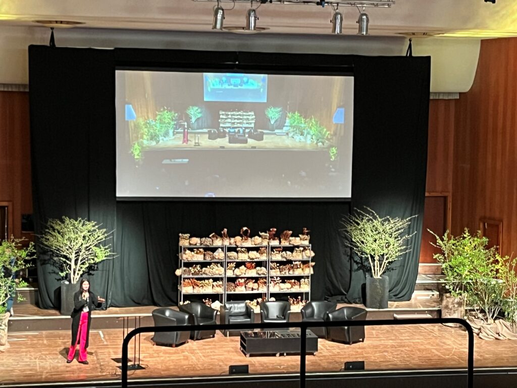 The Breaking Convention main stage at Hoffman Hall.