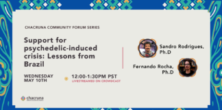 Support for psychedelic-induced crisis: Lessons from Brazil