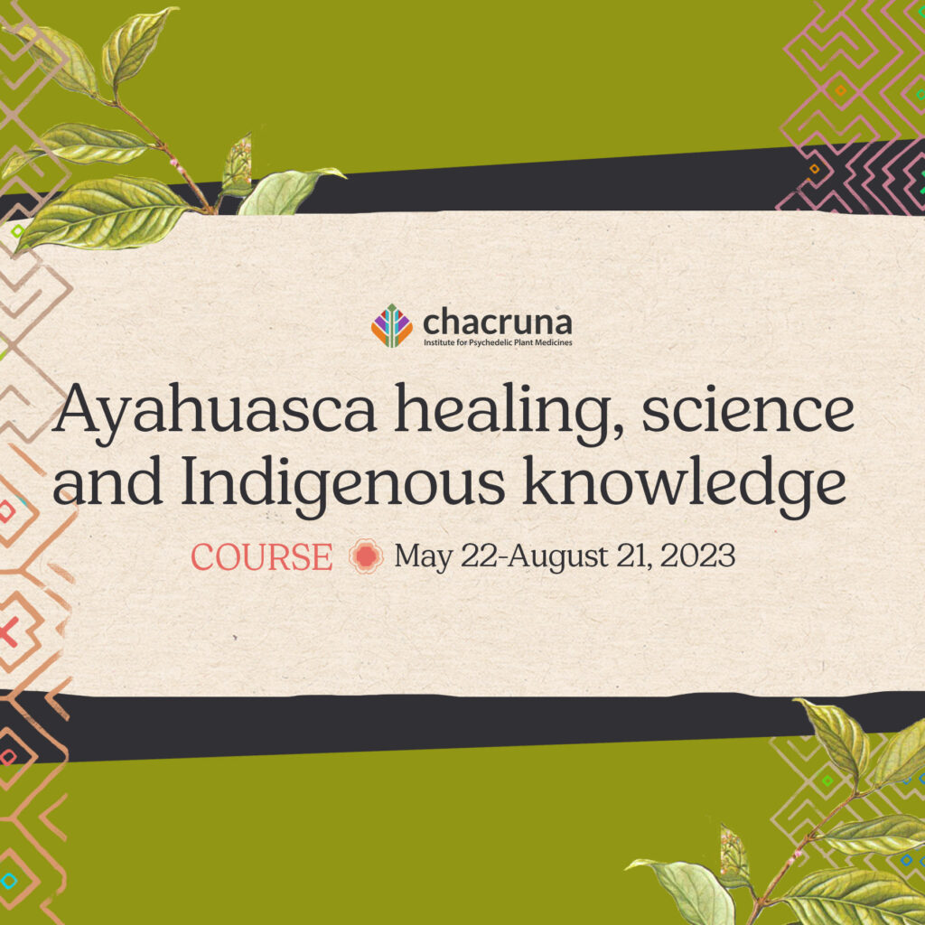 Ayahuasca healing, science and Indigenous knowledge course, Chacruna, May 22-August 21, 2023