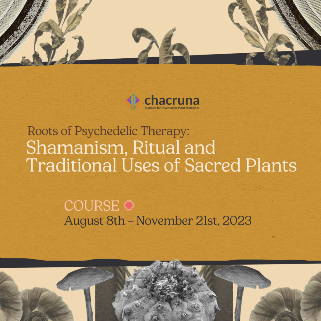 Shamanism, Ritual and Traditional Uses of Sacred Plants, Chacruna Course, August 8th-November 21st, 2023
