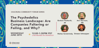 The Psychedelics Business Landscape: Are Companies Faltering or Failing, and Why?