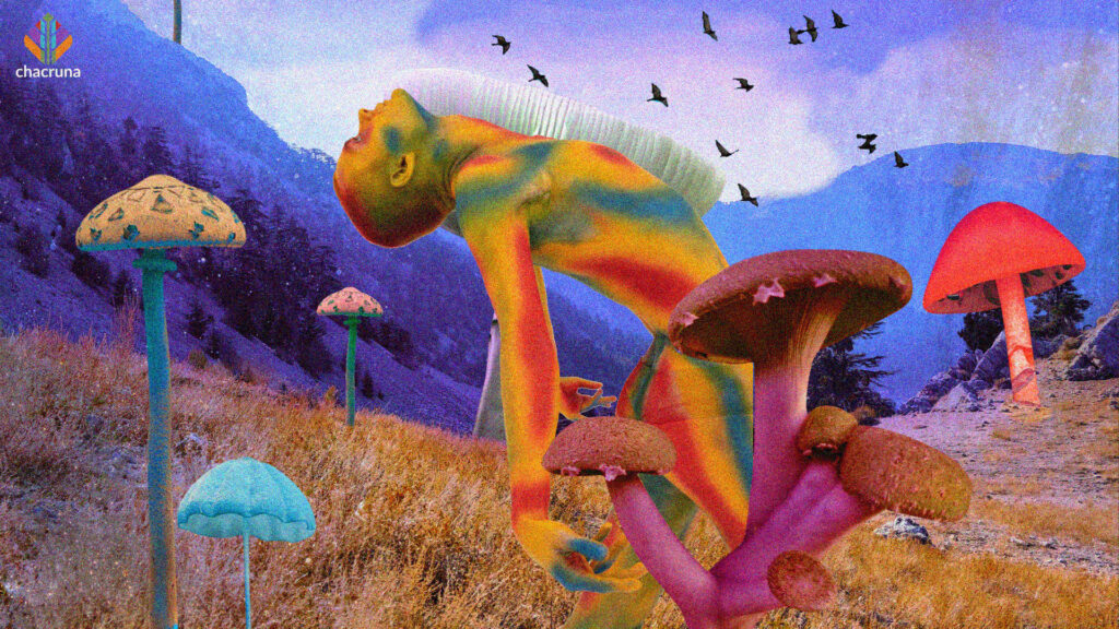 Reflections of a transgender activist in the psychedelic community