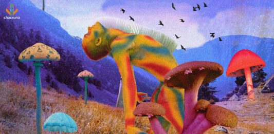 Reflections of a transgender activist in the psychedelic community