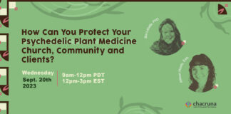 How Can You Protect Your Psychedelic Plant Medicine Church, Community and Clients?