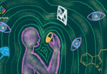 United Nations on Psychedelics. The World Drug Report 2023 and the Renewed Interest in Psychotropics Substances United Nations on Psychedelics. The World Drug Report 2023 and the Renewed Interest in Psychotropics Substances