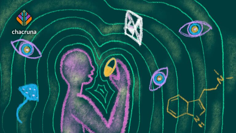 United Nations on Psychedelics. The World Drug Report 2023 and the Renewed Interest in Psychotropics Substances