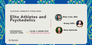 Elite Athletes and Psychedelics