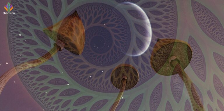 Press release for upcoming Global history of Psychedelics series.