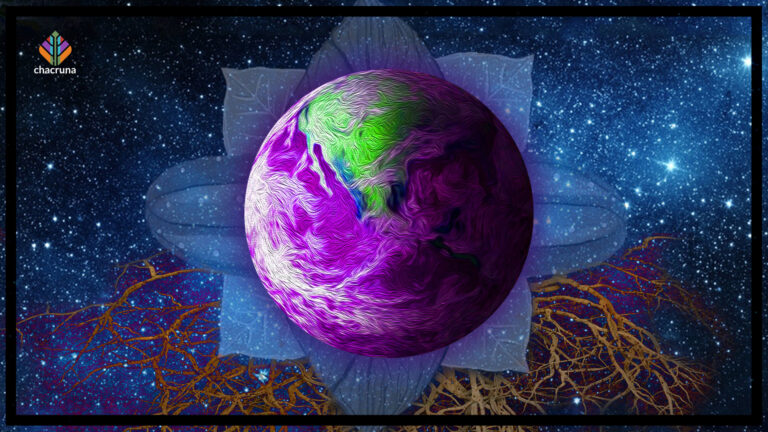 A global history of psychedelics.