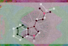 The Pharmacological Interaction of Compounds in Ayahuasca: A Systematic Review The Pharmacological Interaction of Compounds in Ayahuasca