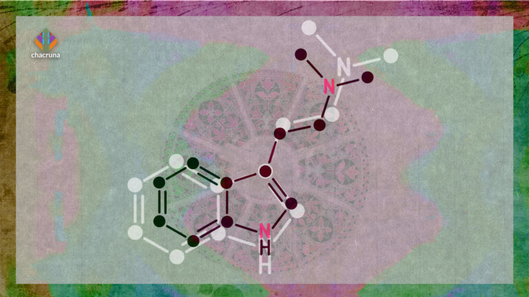 The Pharmacological Interaction of Compounds in Ayahuasca