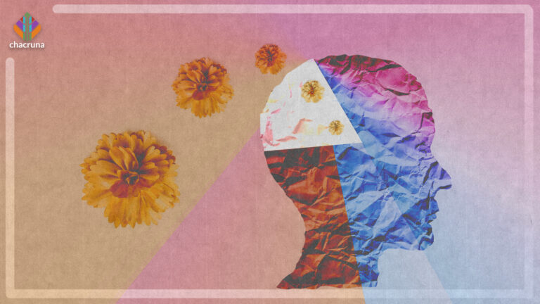 An interview with Sonya Faber On Racial Trauma, Social Justice, Mentorship, and Psychedelic Healing for People of Color
