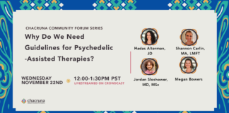 Why Do We Need Guidelines for Psychedelic-Assisted Therapies?