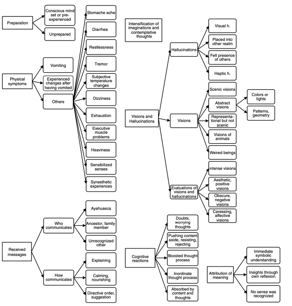 Flow chart showing Preparation, physical symptoms, phantasies, visions, received messages, cognitive reactions, and attribution of meaning reported after a shamanic ayahuasca ceremony in the Amazon region in narrative interviews of nine foreign participants using qualitative content analyses.