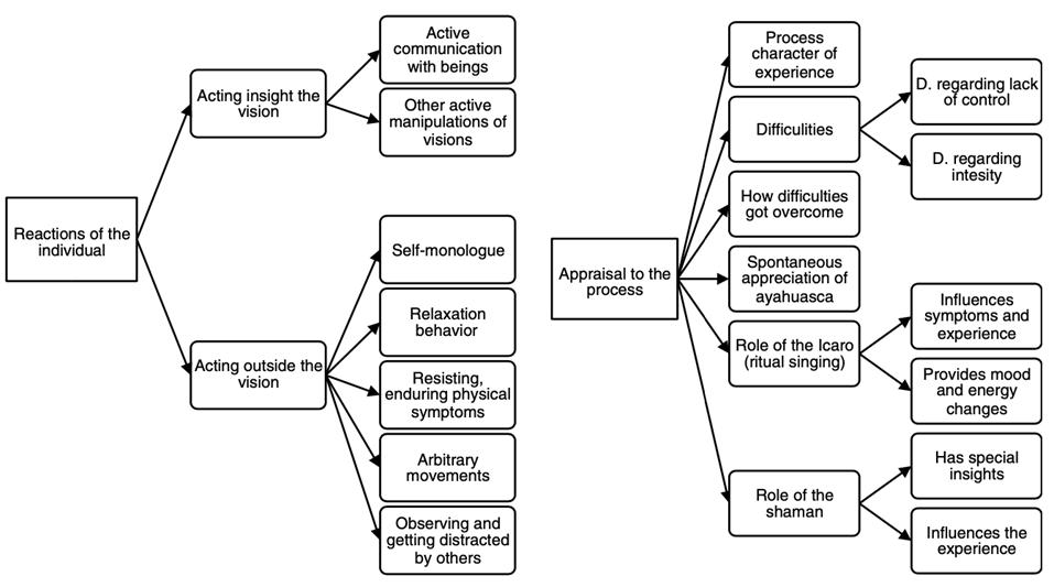 Flow chart showing Appraisal of the process, role of ritual singing and of the shaman, individual reactions reported after a shamanic ayahuasca ceremony in the Amazon region in narrative interviews of nine foreign participants using qualitative content analyses. 