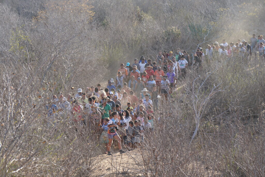 Procession in the caatinga