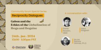 Gabon and the Ethics of the Globalization of Iboga and Ibogaine