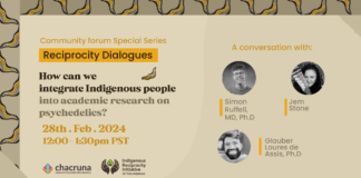 How can we integrate Indigenous people into academic research on psychedelics?