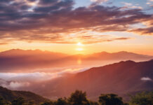 Statement from Mazatec groups on latest psilocybin mushroom policies in Mexico Mazatec Declaration regarding defense of their culture