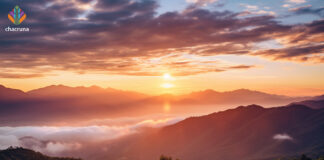 Statement from Mazatec groups on latest psilocybin mushroom policies in Mexico Mazatec Declaration regarding defense of their culture