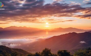 Statement from Mazatec groups on latest psilocybin mushroom policies in Mexico Mazatec Declaration regarding defense of their culture