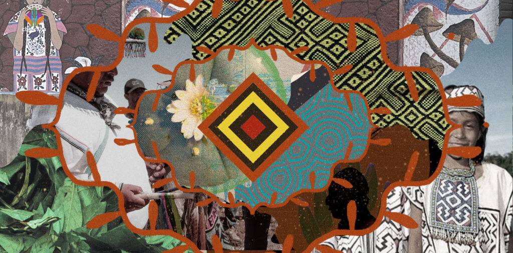 Ten Tips for Standing in Solidarity with Indigenous People and Plant Medicines