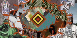 Ten Tips for Standing in Solidarity with Indigenous People and Plant Medicines Ten Tips for Standing in Solidarity with Indigenous People and Plant Medicines