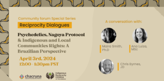 Psychedelics, Nagoya Protocol & Indigenous and Local Communities Rights: A Brazilian Perspective