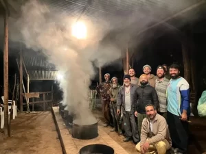 Chacruna team cooking ayahuasca