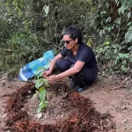 planting ayahuasca