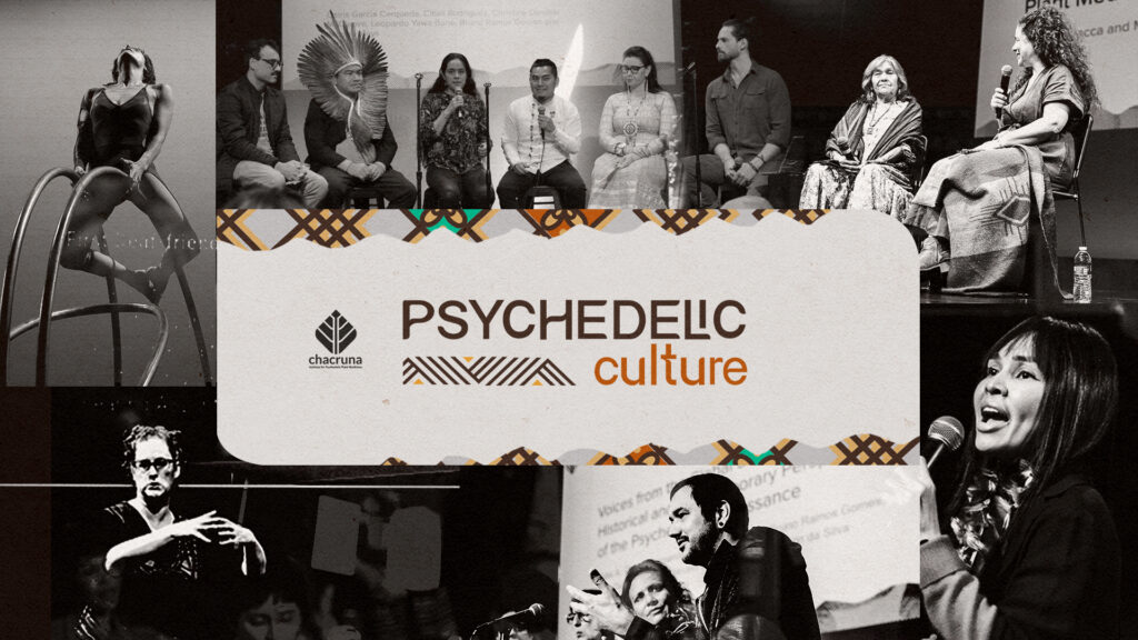 Scenes from Psychedelic Cultures 2024