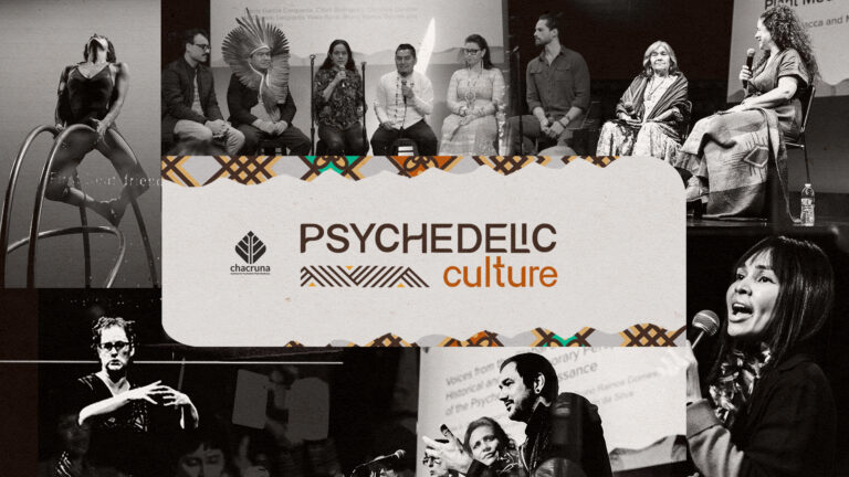 Scenes from Psychedelic Cultures 2024