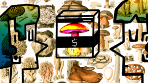 is mainstreaming psychedelics a good thing?