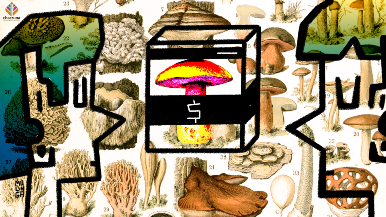 is mainstreaming psychedelics a good thing?